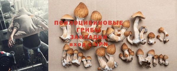 прущая мука Белокуриха