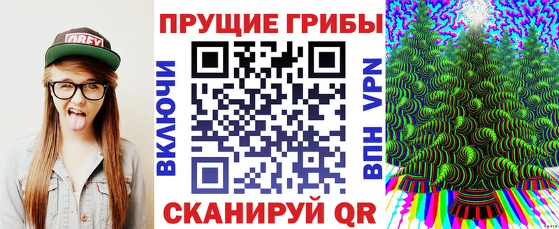 купить наркоту  Окуловка  Галлюциногенные грибы Cubensis 